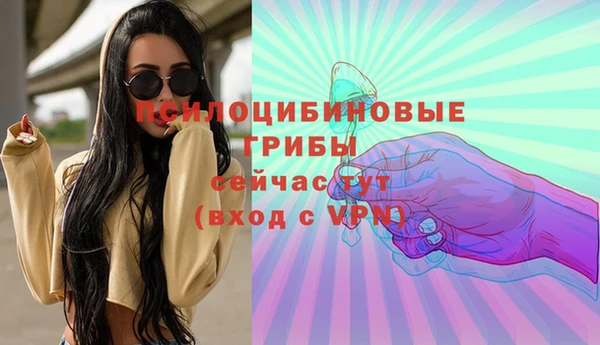 шишки Абинск