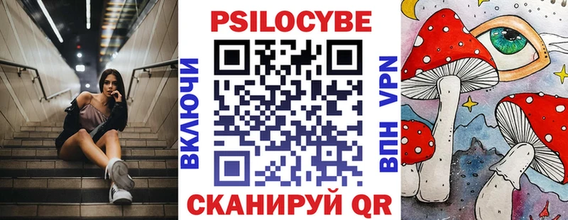 закладка  блэк спрут ТОР  Псилоцибиновые грибы прущие грибы  Торопец 